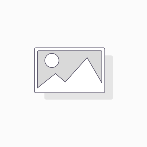 S/ABSORBER RR METAL BUSH